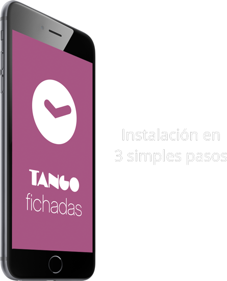 Instalacion Tango Fichadas